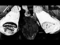 Shark Hunting Attitudes and Experiences