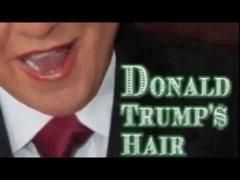 Donald Trumps Hair - YouTube