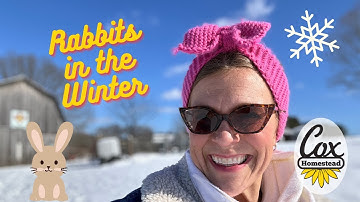Raising Rabbits in the Winter: How to deal with kindling, water bottles and more | Cox Homestead