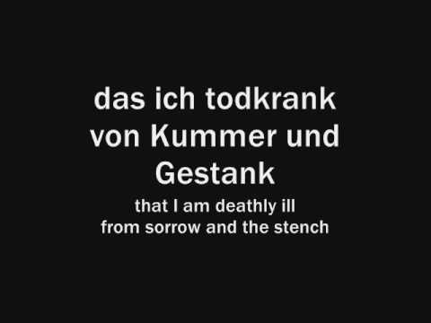 Rammstein - Klavier (With lyrics and English translations)