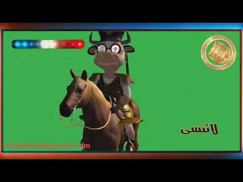 كروما البقرة الشرطية على خلفية خضراء كروما خضراء للمونتاج كروما خضراء مميزة لبقرة 