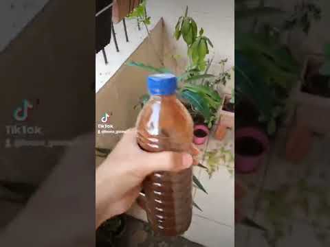 سماد طبيعي من القهوة