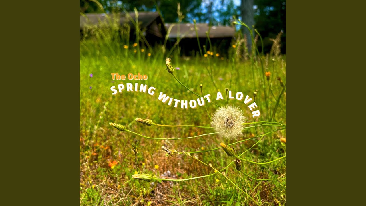 Guarda Spring Without a Lover su YouTube Guarda Spring Without a Lover su YouTube