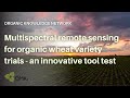 Multispectral remote sensing for organic wheat variety trials   an innovative tool test