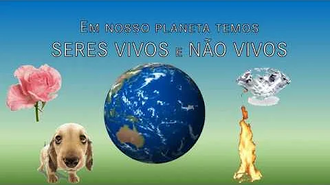 Quais os nomes dos seres não vivos?
