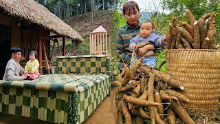 Single mother: Digs up cassava roots to sell  Grandfather makes a bed out of bamboo | Ly Phuc Binh