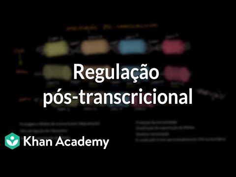 Vídeo: O que é a regulação gênica pós-transcricional?