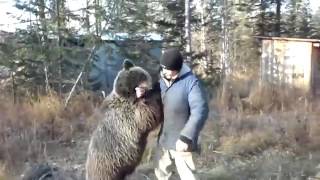 вахтовики сняли уникальное видео о невероятно добродушном диком медведе вахтовики сняли уникальное видео о невероятно добродушном диком медведе