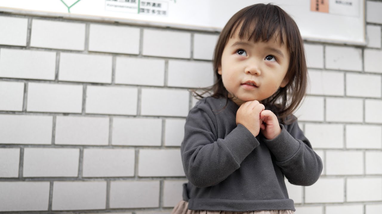 寺散歩して精進料理食べるわ。鯉も見るし。