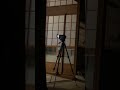 お客さんが撮影した心霊映像 『カチカチ』 #暗夜#幽霊屋敷