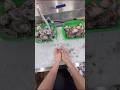 魚屋が見てる世界 -アワビチョップ50連-