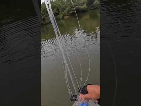 رمي شبكة صيد من لوح التجديف