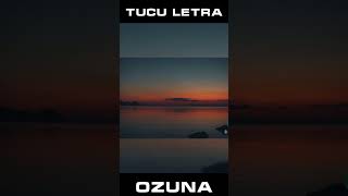 Tucu - Ozuna letra #shorts #viralvideo #reggaeton #ozuna #tucu