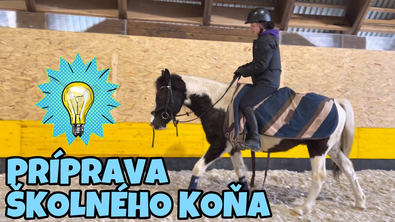 NOVÝ ŠKOLSKÝ KÔŇ!🥥 jazdenie + návšteva Gorra🤍