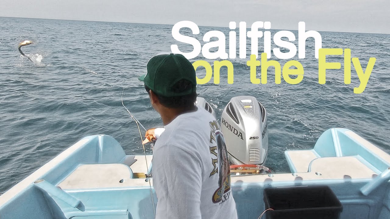 Nautilus Silver King vs Sailfish (EPIC WEEKEND with Capt Elliot fly fishing Rompin sailfish)