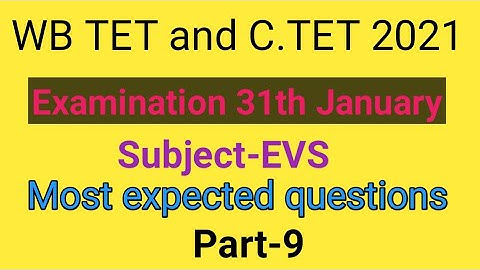 Mock test of EVS for WB TET & C TET part-9 by Taufique Ansari