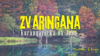 ZVARINGANA KURANGARIRWA BY  MARIMBA EDENGA GOSPEL SINGERS - LED BY BRIGHT GOMBAKOMBA