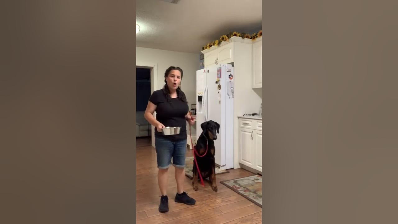 Leash Pressure Training YouTube