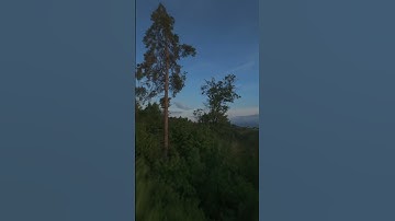 Want those epic drone clips? Learn, crash, repeat — and send it in manual mode! #fpvdrone #drone