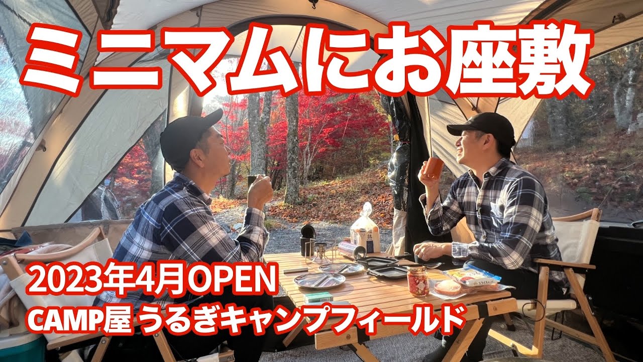 【はしごキャンプ】秋の紅葉を楽しみながら北欧テントでお座敷キャンプ、ミニマムにしすぎたら...@CAMP屋うるぎキャンプフィールド(デュオキャンプ/犬連れキャンプ/チワワ)