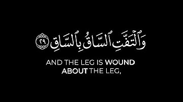 كلا إذا بلغت التراقي | ناصر القطامي تلاوة مؤثرة سورة القيامة كرومات قرآن شاشة سوداء