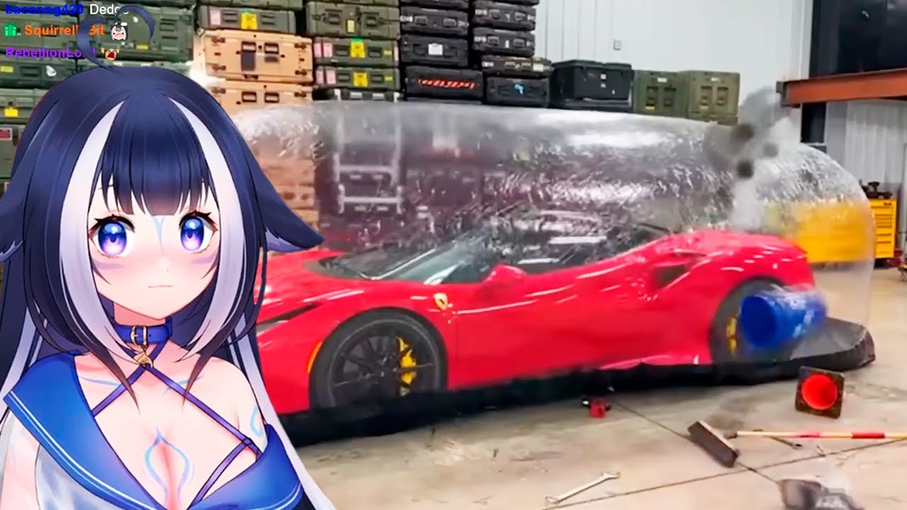 Shylily Reacts To UNUSUAL MEMES COMPILATION 🦐