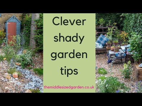 Wideo: Xeriscape Garden Ideas - Informacje o Xeriscape Shade Gardens