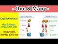 Understanding Singular and Plural Nouns