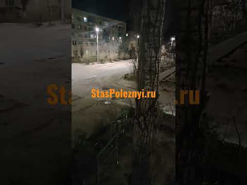 Выплаты самозанятым 250к