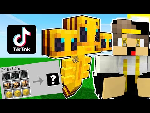 جربت اشهر و اغرب خدع التيك توك في ماين كرافت 2