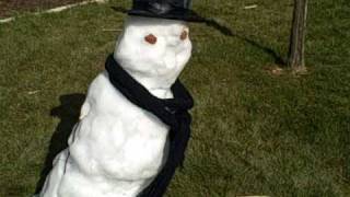 TheLife of a Snowman