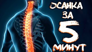 Прямая Осанка За 5 Минут В День 💪 Как Исправить Сутулость?