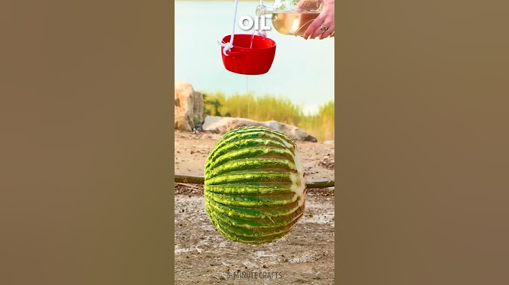 Cooking a wild cactus for a delicious meal🌵