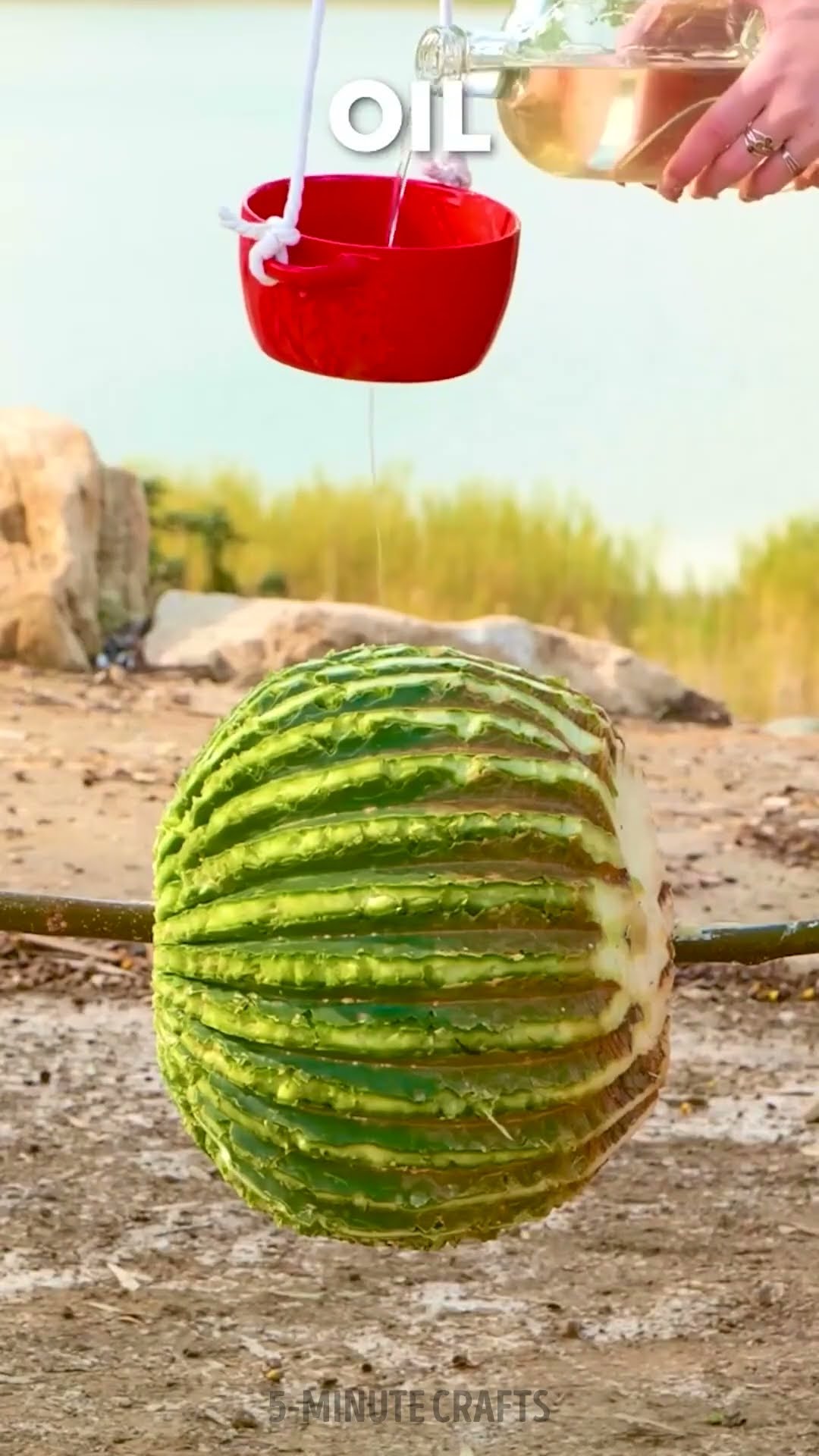 Cooking a wild cactus for a delicious meal?