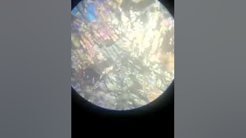 peridotite under microscope