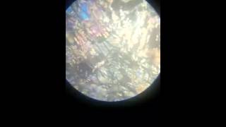 peridotite under microscope