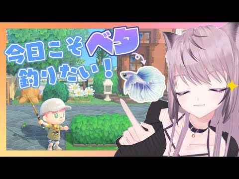 【ACNH / あつ森】ベタ釣りたい【VTuber / 花相もも】