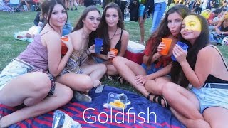 GOLDFISH // CONCERT 2017