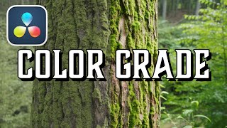 11-Step Method to Easily Color Grade for Beginners