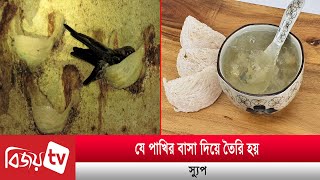 যে পাখির লা'লা'র মূল্য লাখ টাকা । Bijoy TV