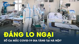 Vì sao số ca mắc Covid-19 ở Hà Nội gia tăng? | CafeLand