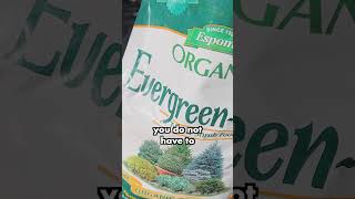 How To Fertilize Evergreens || Wyse Guide