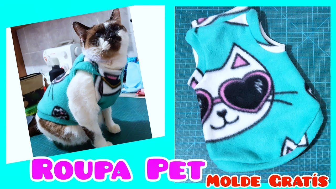 Roupa Pet Facil! Com molde Gratís!!🐶♥️
