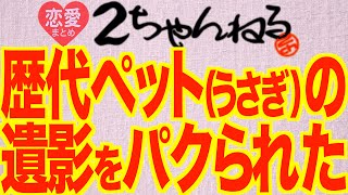 歴代ペット（うさぎ）の遺影飾ったフォトフレームをパク