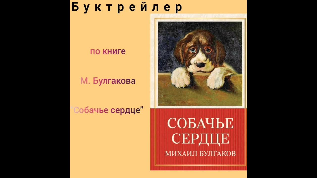 Произведения про собак. Собака Булгакова. Отзыв о произведении Собачье дело.