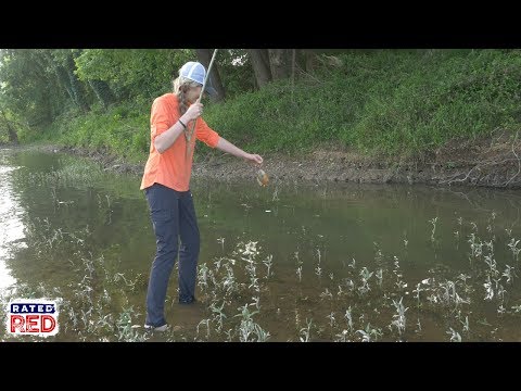 How to Make an Old-Fashioned Cane Fishing Pole 
