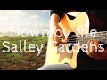 Celtic guitar  down by the salley gardens  fingerstyle guitar