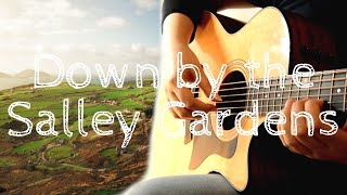 Vignette de la vidéo "Celtic Guitar | Down by the Salley Gardens | Fingerstyle Guitar"