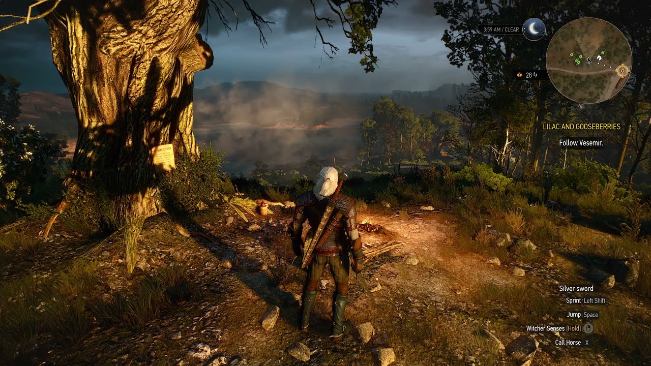 Witcher 3Finding Yennefer's raven crystal skull from the cinematic