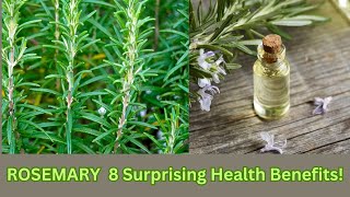 Rosemary Revealed 8 Surprising Health Benefits